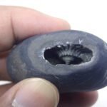 Natural Laxmi Narayan  Shaligram Shila ( 53 grams ) approx