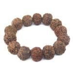 7 Mukhi Rudraksha Bracelet Adjustable ( Big Size )