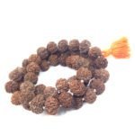 7 Mukhi Rudraksha Mala 54 +1 Beads Nepali