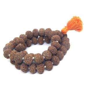 10 Mukhi Mala / Kantha 54 +1 Beads
