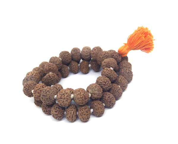 10 Mukhi Mala / Kantha 54 +1 Beads