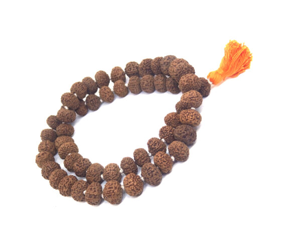 10 Mukhi Mala / Kantha 54 +1 Beads