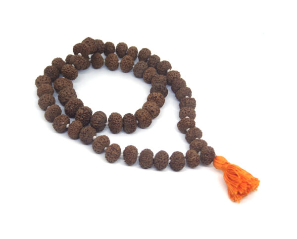 10 Mukhi Mala / Kantha 54 +1 Beads