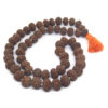 10 Mukhi Mala / Kantha 54 +1 Beads