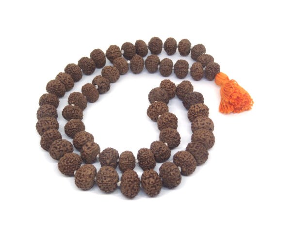 10 Mukhi Mala / Kantha 54 +1 Beads