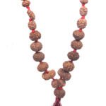 1 - 14 Mukhi Indonesian Rudraksha Mala
