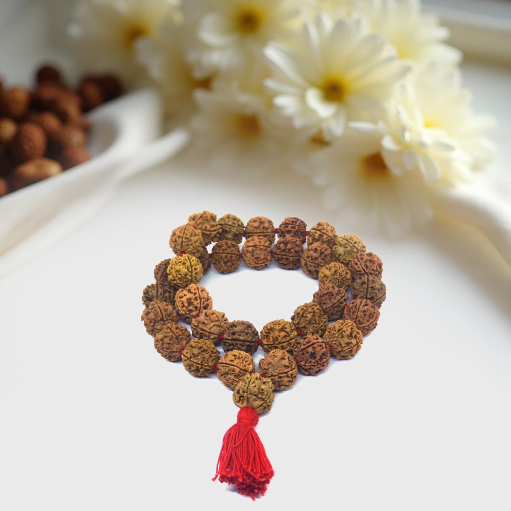 5-Mukhi-32-1-Beads-22-MM