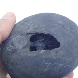 Natural Laxmi Narayan  Shaligram Shila ( 468 grams ) approx