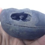 Natural Laxmi Narayan  Shaligram Shila ( 575 grams ) approx