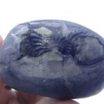 Natural Laxmi Narayan  Shaligram Shila ( 150 grams ) approx