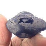 Natural Laxmi Narayan  Shaligram Shila ( 73 grams ) approx