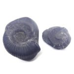 Natural Chakra Shaligram Shila 153 grams